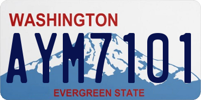 WA license plate AYM7101