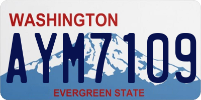 WA license plate AYM7109