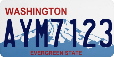 WA license plate AYM7123