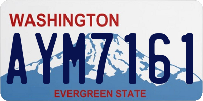 WA license plate AYM7161