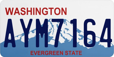 WA license plate AYM7164