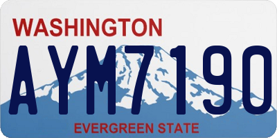 WA license plate AYM7190