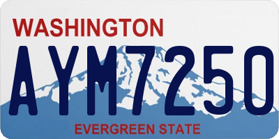 WA license plate AYM7250