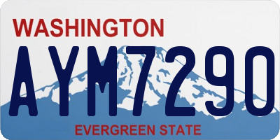 WA license plate AYM7290