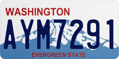 WA license plate AYM7291