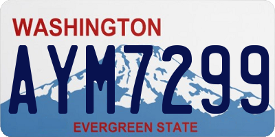 WA license plate AYM7299