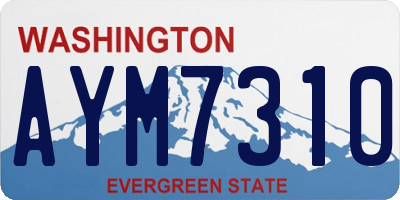 WA license plate AYM7310