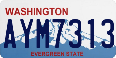 WA license plate AYM7313