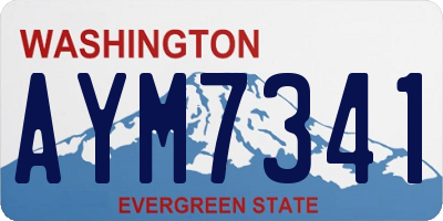WA license plate AYM7341