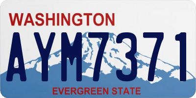 WA license plate AYM7371