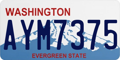 WA license plate AYM7375