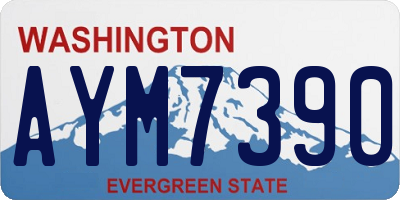WA license plate AYM7390