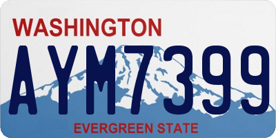 WA license plate AYM7399