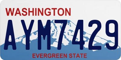 WA license plate AYM7429