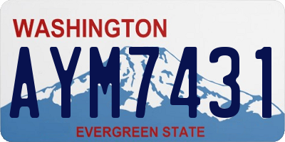 WA license plate AYM7431