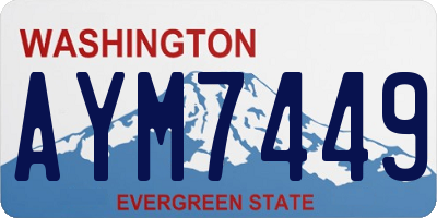 WA license plate AYM7449