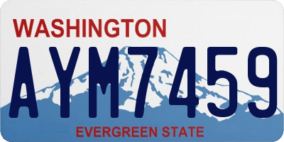 WA license plate AYM7459