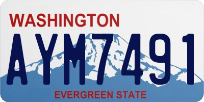 WA license plate AYM7491