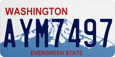 WA license plate AYM7497