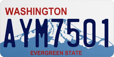 WA license plate AYM7501