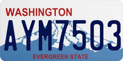 WA license plate AYM7503