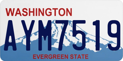 WA license plate AYM7519