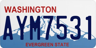 WA license plate AYM7531