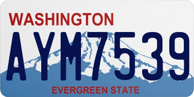 WA license plate AYM7539