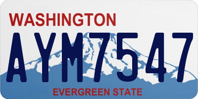 WA license plate AYM7547