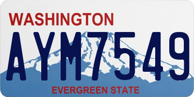 WA license plate AYM7549