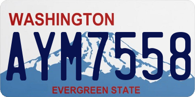 WA license plate AYM7558