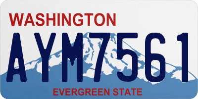 WA license plate AYM7561