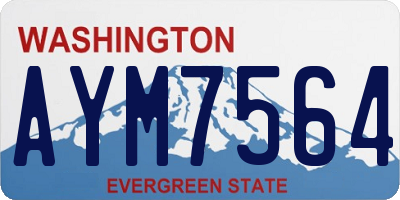 WA license plate AYM7564