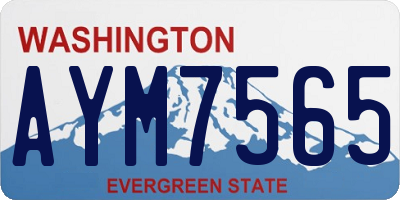 WA license plate AYM7565
