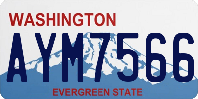 WA license plate AYM7566