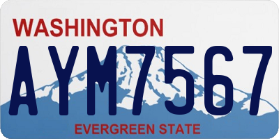 WA license plate AYM7567
