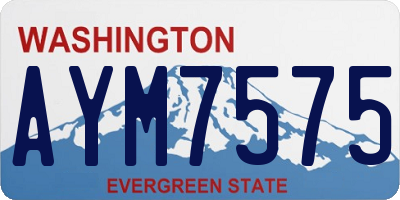 WA license plate AYM7575
