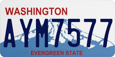 WA license plate AYM7577