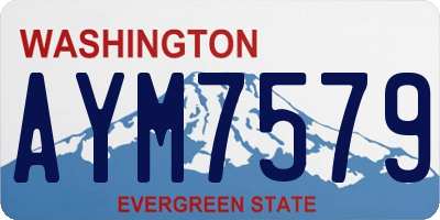 WA license plate AYM7579