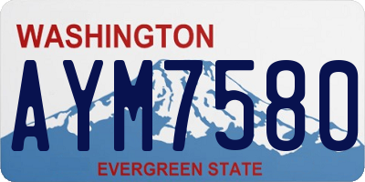 WA license plate AYM7580