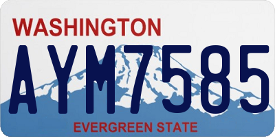 WA license plate AYM7585