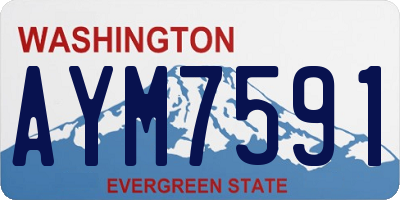 WA license plate AYM7591