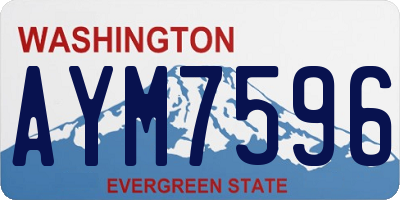 WA license plate AYM7596