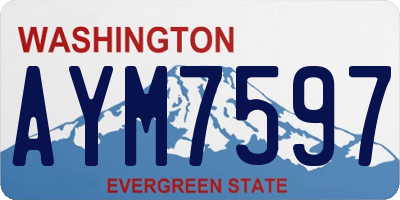 WA license plate AYM7597