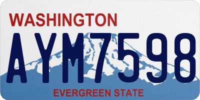 WA license plate AYM7598