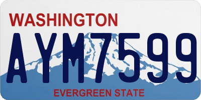WA license plate AYM7599