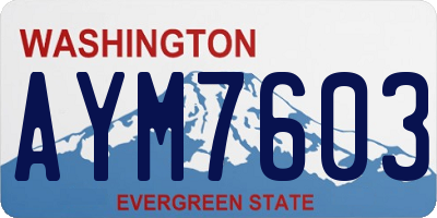 WA license plate AYM7603