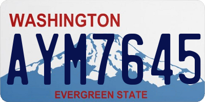WA license plate AYM7645