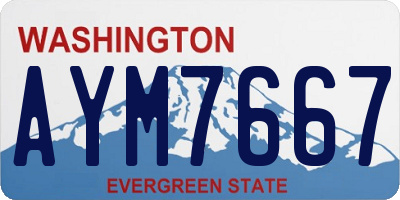 WA license plate AYM7667