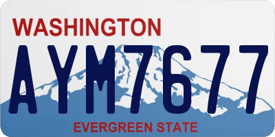 WA license plate AYM7677